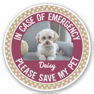 Pet Safety Alert with Changeable Colours