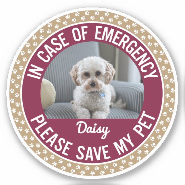 Pet Safety Alert with Changeable Colours (Front)