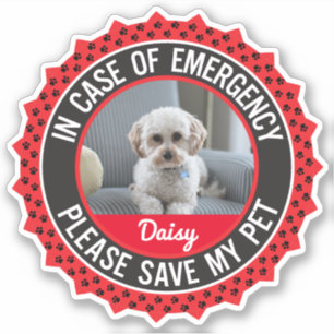 Pet Safety Alert with Photo Name Editable Colours
