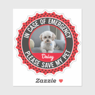 Pet Safety Alert with Photo Name Editable Colours