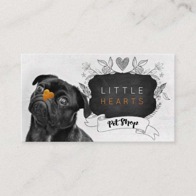 Pet Shop / Pet Care Services/ Sitting services Business Card (Front)