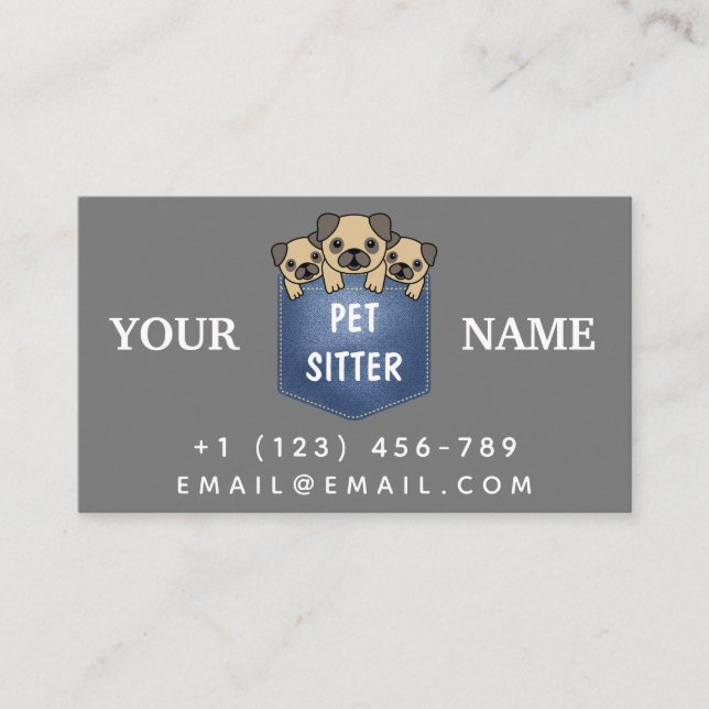 Pet Sitter Animal Care Service Cute Dogs Modern  Business Card (Front)