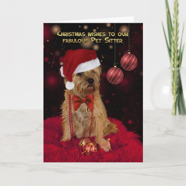 Pet Sitter Border Terrier Dog In A Santa Hat Holiday Card (Front)