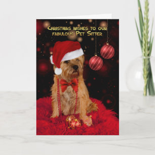 Pet Sitter Border Terrier Dog In A Santa Hat Holiday Card