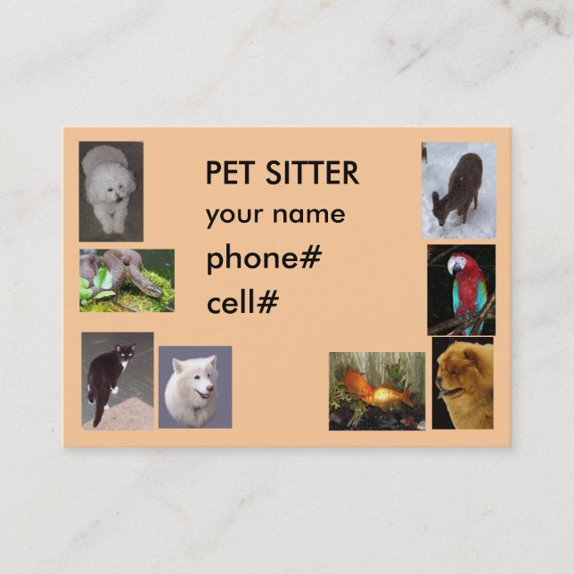 PET SITTER BUSINESS CARD (Front)