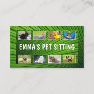 Pet Sitter Business Card Dog Walker