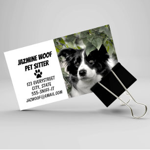 Pet Sitter Dog Walker Business Card