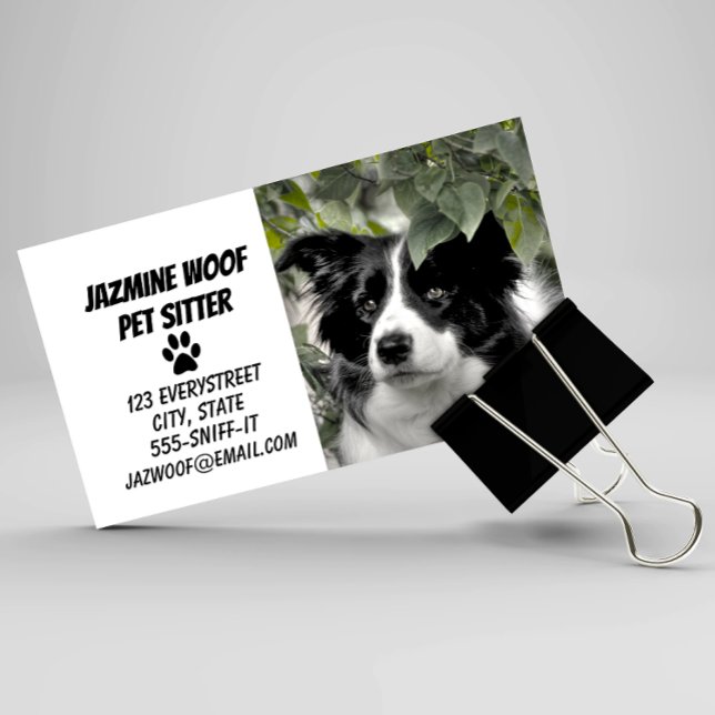 Pet Sitter Dog Walker Business Card (Creator Uploaded)