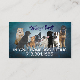 pet sitting business cards