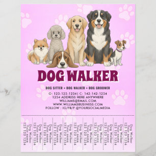 Pet Sitting Dog Walker Promotional Vibrant Pink Flyer