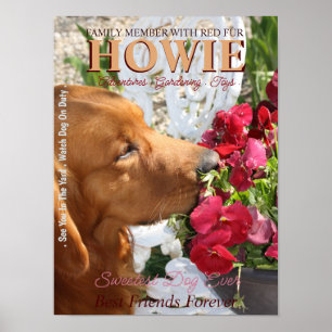 Pet Star Creative Poster