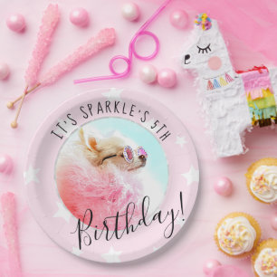 Pet Star Photo Pet Birthday Party Pink Paper Plate