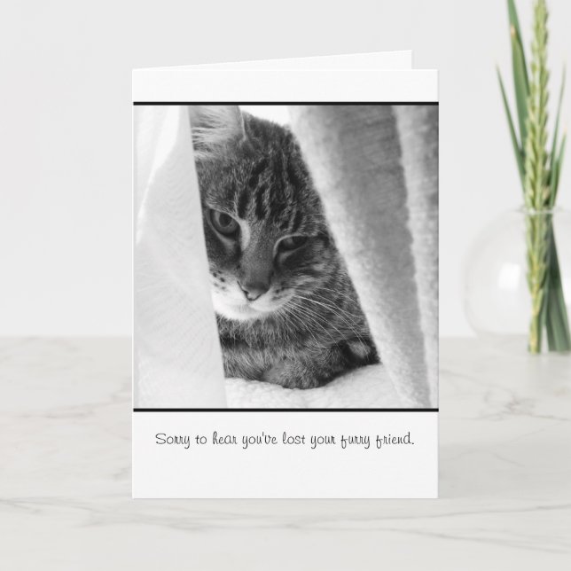 pet sympathy card (Front)