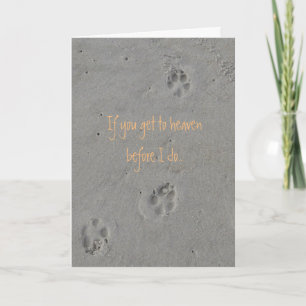 Pet sympathy card
