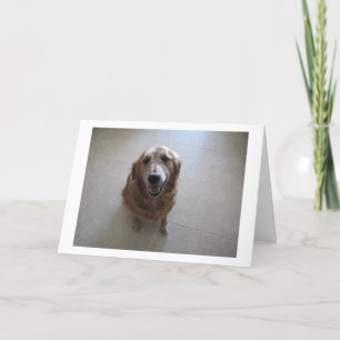 Pet Sympathy card