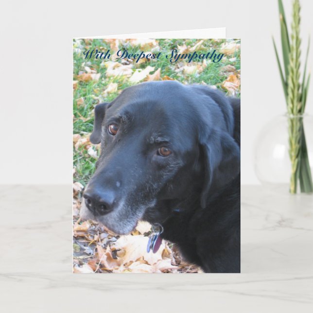 Pet Sympathy Card (Front)