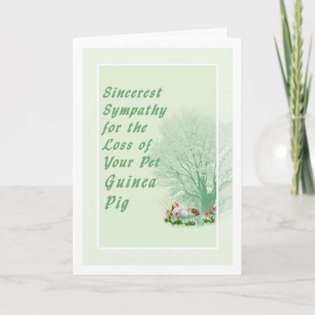 Pet Sympathy Card for Loss of Pet Guinea Pig (Front)