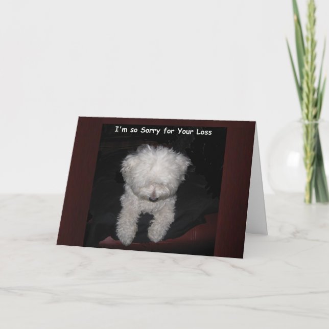 Pet Sympathy Card - Maltese Dog Praying (Front)