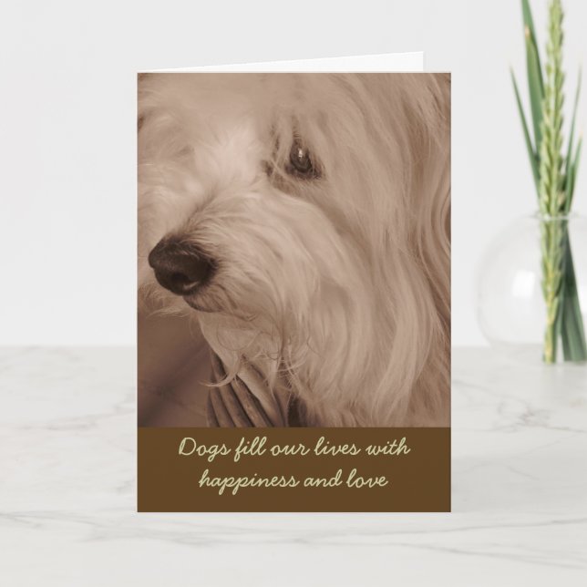Pet Sympathy Card--Sepia White Dog Card (Front)