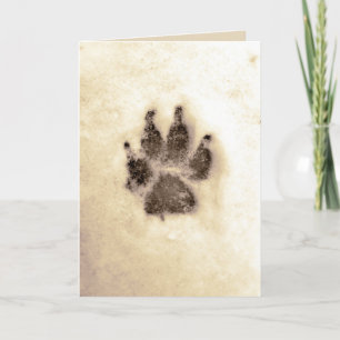 Pet Sympathy Holiday Card