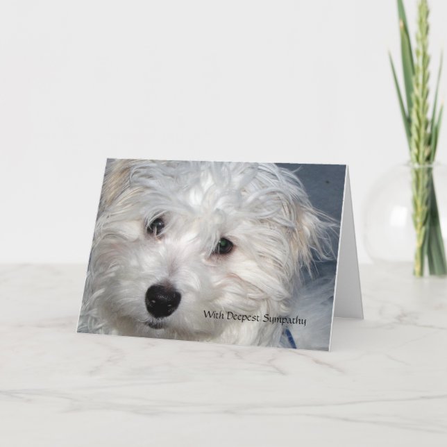 Pet Sympathy -  loss of a Dog Card (Front)