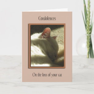 Pet Sympathy Loss of Cat Card