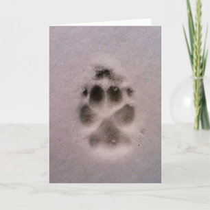 Pet Sympathy or Rescue Card (Dog)
