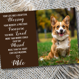Pet Sympathy Personalised Photo Pet Loss Card