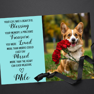 Pet Sympathy Personalized Photo Pet Loss Card