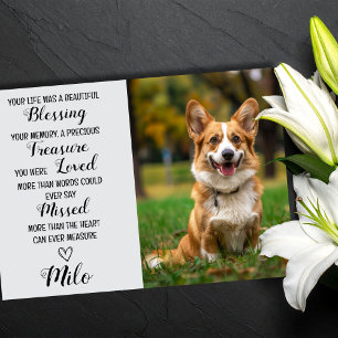 Pet Sympathy Personalized Photo Pet Loss Card