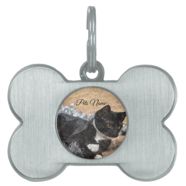 Pet Tag (Front)