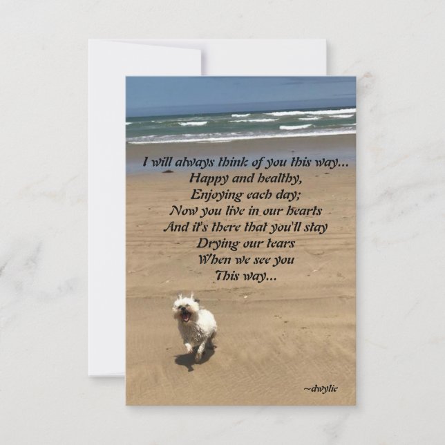 Pet Tribute - I will always think of you this way RSVP Card (Front)