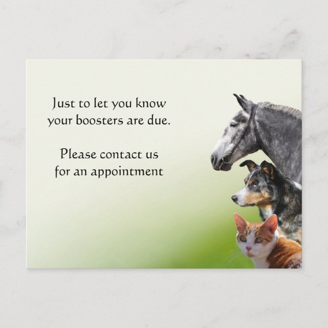 Pet vaccination booster reminder postcard (Front)