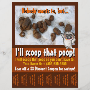 Pet Waste Removal.Pooper Scooper.Custom promo Flyer