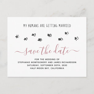 Pet Wedding Humans Getting Married Save the Date Invitation Postcard