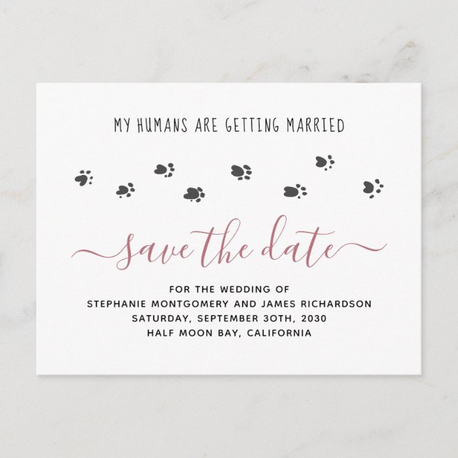 Pet Wedding Humans Getting Married Save the Date Invitation Postcard (Front)