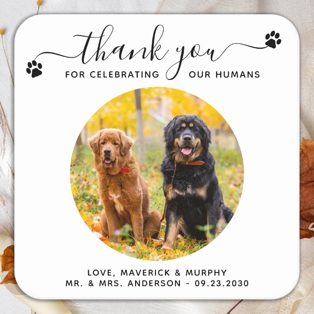 Pet Wedding Modern Elegant Script Photo Thank You Square Paper Coaster (Creator Uploaded)