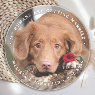 Pet Wedding Personalised Dog Photo Engagement Coaster