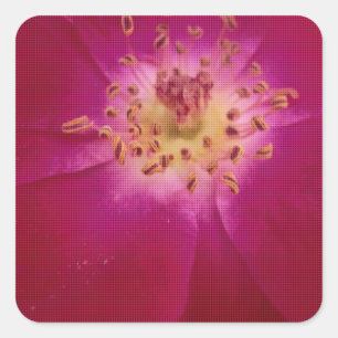 Petal Perfection: Chequered Rose Petal Pattern Art Square Sticker