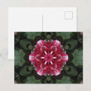 Petal Symphony Postcard