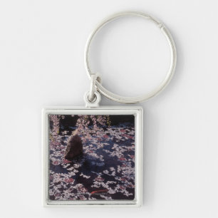 Petals floating on fish pond key ring