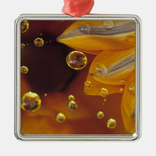 Petals on Mylar reflective surface with drops. Metal Tree Decoration