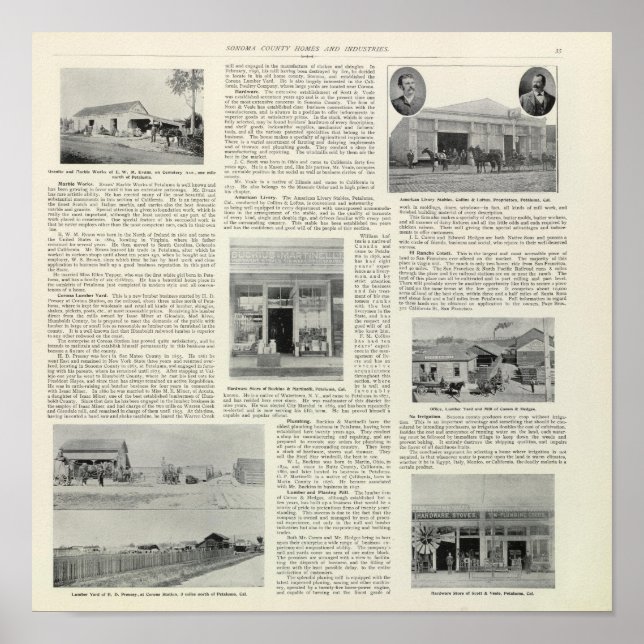 Petaluma Businesses, California Poster (Front)