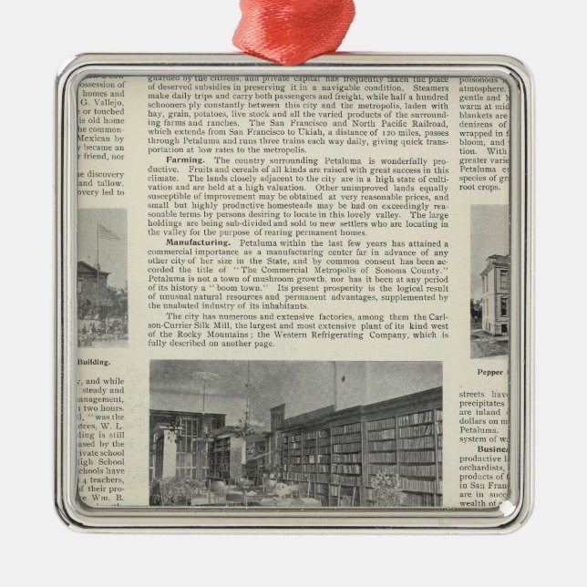 Petaluma, California Metal Tree Decoration (Front)