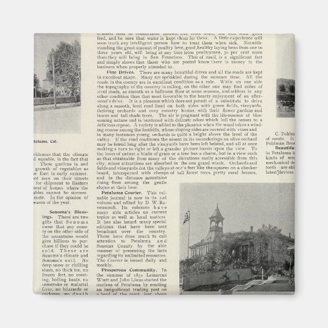 Petaluma Residences, California Magnet (Front)