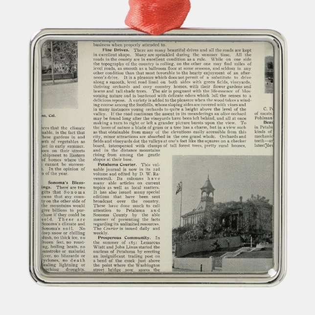 Petaluma Residences, California Metal Tree Decoration (Front)