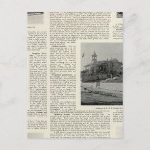 Petaluma Residences, California Postcard