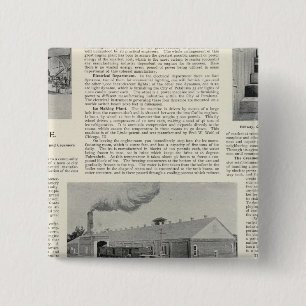 Petaluma's Pride, California 15 Cm Square Badge