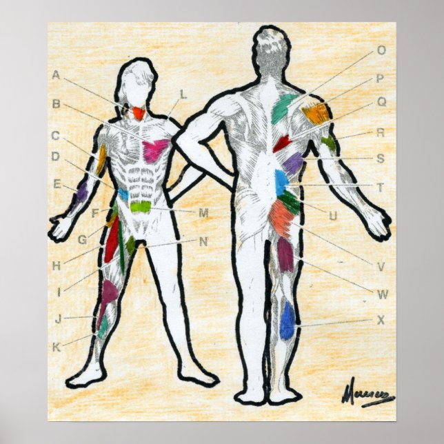 Peter Max style signed muscle chart drawing (Front)