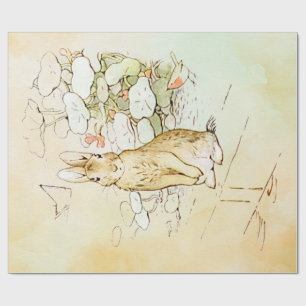 Peter Rabbit  3 Wrapping Paper